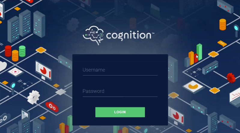 Cognition